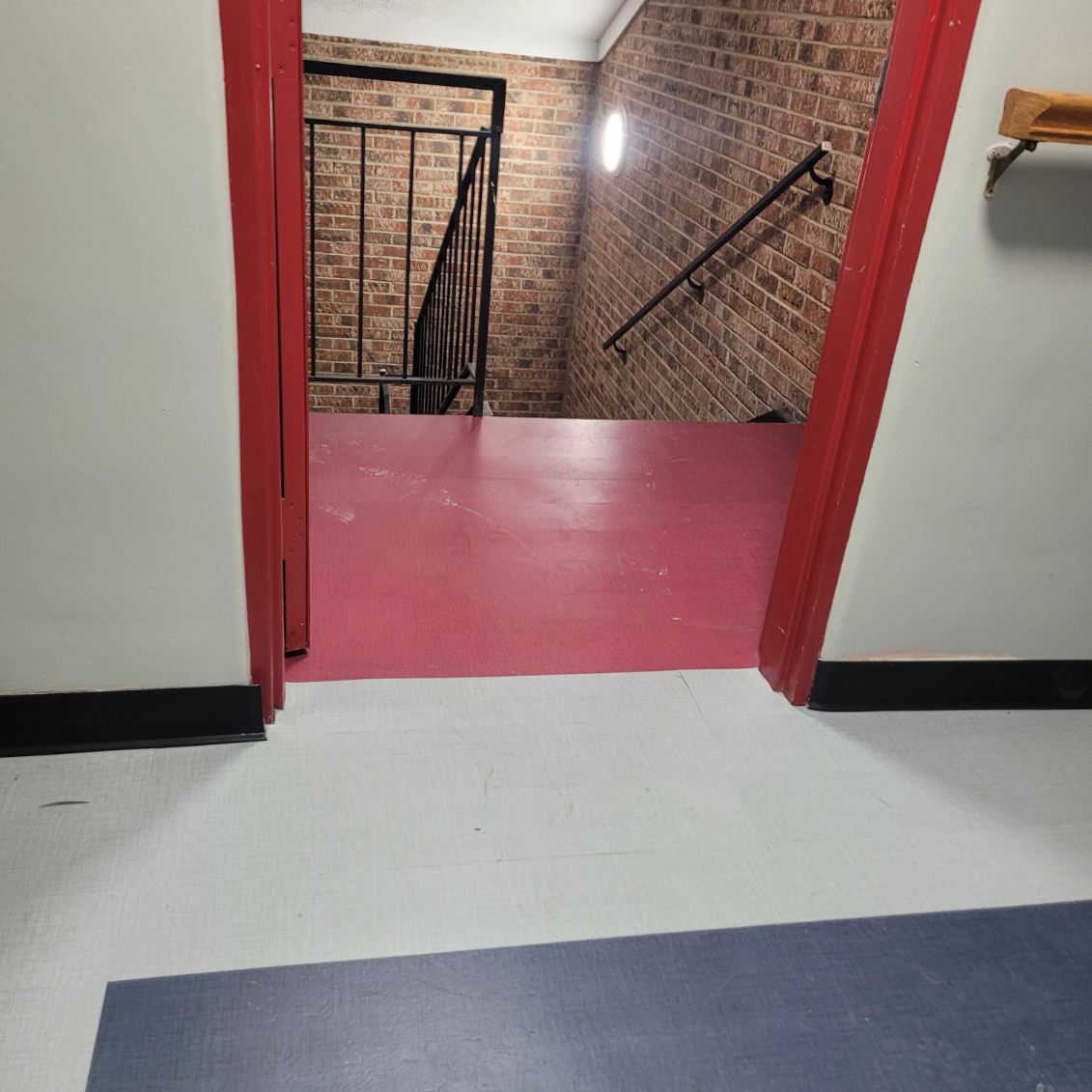 Vinyl Flooring Project